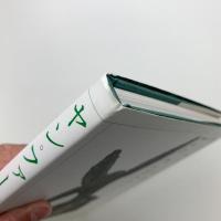 ヤン・ファーブル