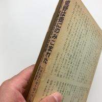 荒野は壺にのみこまれた　大衆状況のなかの美術