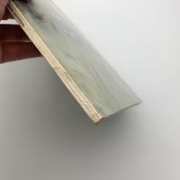 fundamentele schilderkunst
