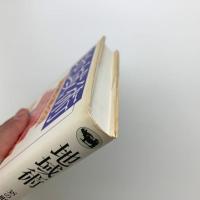 地域術　38の町と村づくり