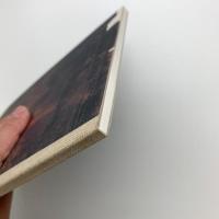 Fés 染の伝記　宮廻正明個展