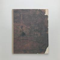 Fés 染の伝記　宮廻正明個展