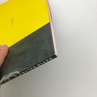 ディヴィッド・サーレ展