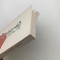 翁長親方八重山嶋規模帳