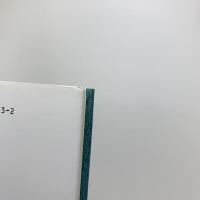 完成の祖型　田中幸人美術評論集