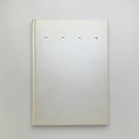 拡張する絵画　色彩による試み