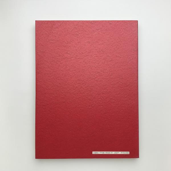 SHIRAKAWA 白川昌生作品集