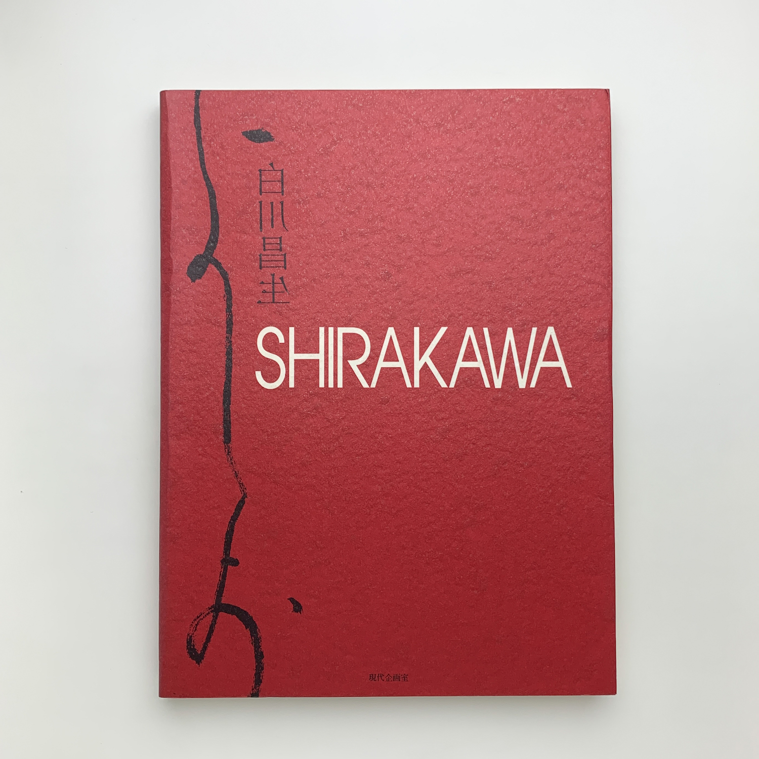 SHIRAKAWA 白川昌生　作品集 SHIRAKAWA 白川昌生 作品集 白川昌生 作品の販売・通販 | OIL