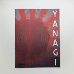 柳幸典展