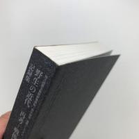 野生の近代　再考 戦後日本美術史　記録集