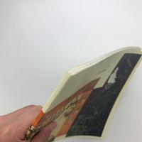 アイダ・アップルブルーグ絵画展　物語のない心理劇