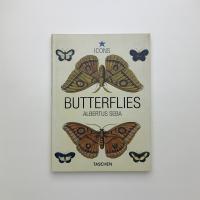 BUTTERFLIES