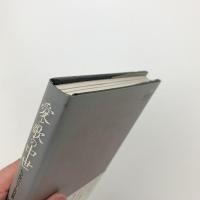 愛と歌の中世　トゥルバドゥールの世界