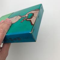 南半球の発見