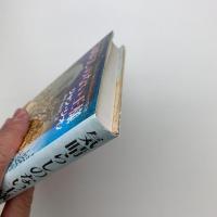 気晴らしのない王様