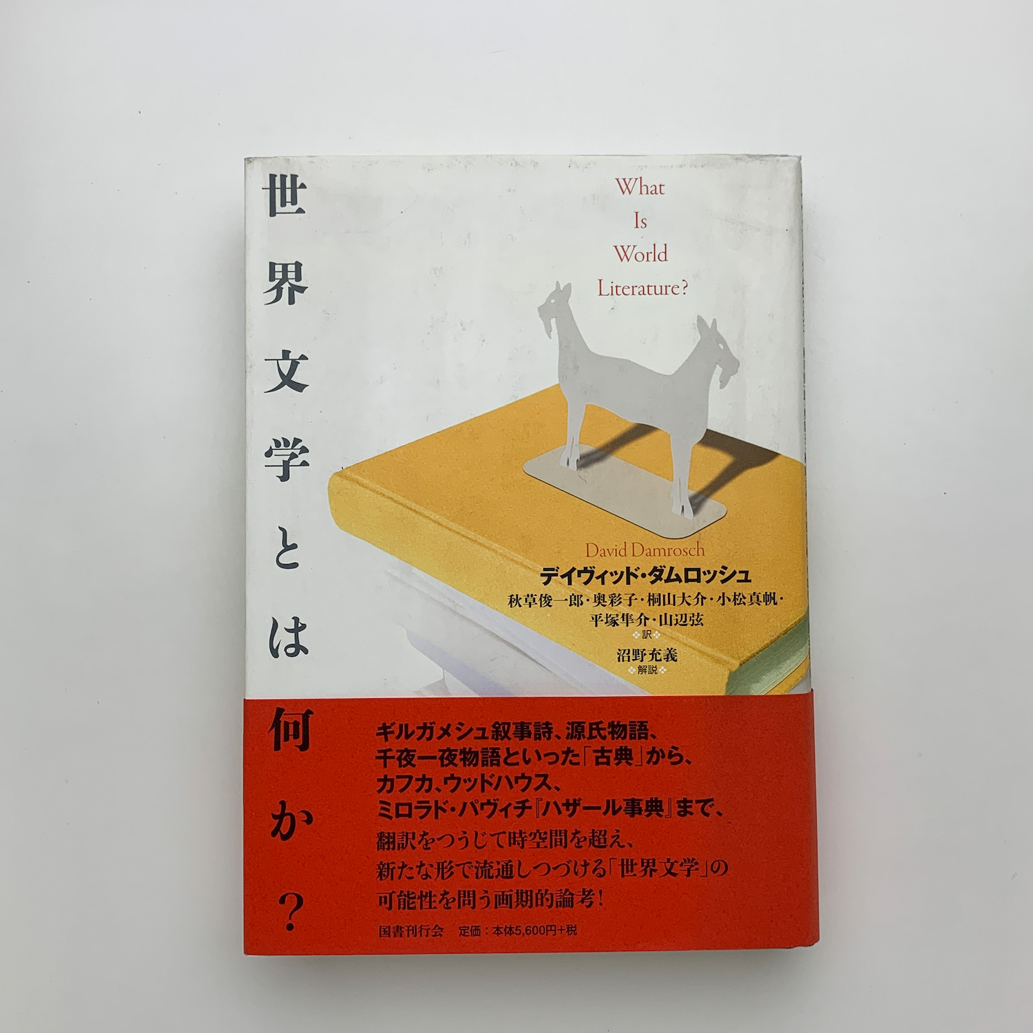 ５５％以上節約 世界文学とは何か？(デイヴィッド・ダムロッシュ) / 古本、中古 国文学研究