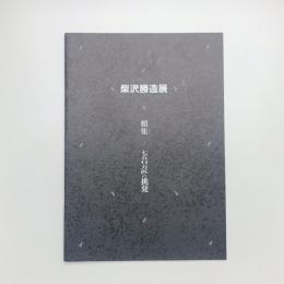 柴沢勝造展　蝟集 750万匹の挑発