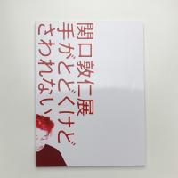 関口敦仁展 手がとどくけど さわれない