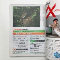 グラフNHK　1982年9月号
