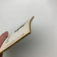 美学 第104号