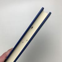 森の中のアシガン
