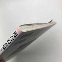 複合的表現 絵画からの展開