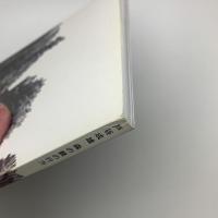 戸谷成雄 森の襞の行方