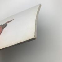 日本のやきもの 色絵の器100