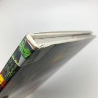 電脳カーニバル