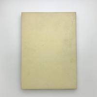 国立西洋美術館三十年史