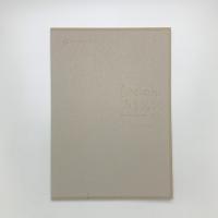 ひののんふぃくしょん 2011 ドキュメント