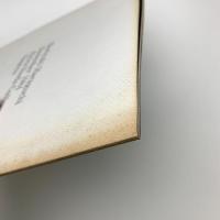 Noriyuki Haraguchi: New Works