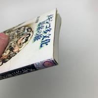 メキシコ多文化思索の旅