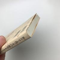 新訂 アメリカの歴史