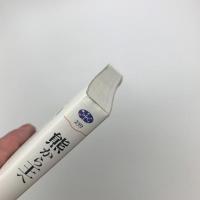熊から王へ　カイエ・ソバージュ2