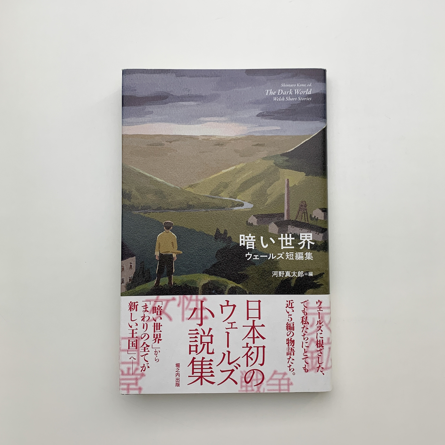 (送料込み)世界の文学 17巻+別冊3巻 世界文化社 約23cm×29cm 81VEYQCokNL._AC_UF350,