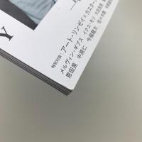 別冊ele-king 第5号　アート・リンゼイ 実験と官能の使徒