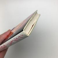 シンデレラ あるいは母親の霊魂