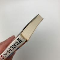 哺育器の中の大人 精神分析講義