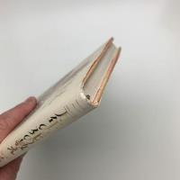 三万年の死の教え チベット死者の書の世界