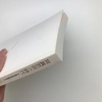 大正期の都市散策者たち 寫眞芸術の時代