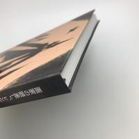 画家の眼差し、レンズの眼 近代日本の写真と絵画