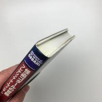 怪盗ゴダールの冒険