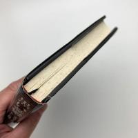 黒い憂鬱 90年代アメリカの新しい人種関係