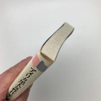 アメリカ黒人女性作家の世界 小説に見るもう一つの現代アメリカ