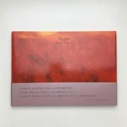 Voice