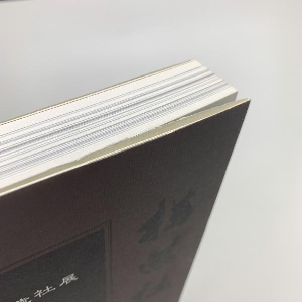 構造社 昭和初期彫刻の鬼才たち / 玄玄書林 / 古本、中古本、古