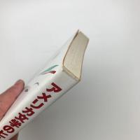 アメリカ文学のヒーロー