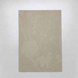 大森澪銅版画集　ミィレフィオーリ 千々の花