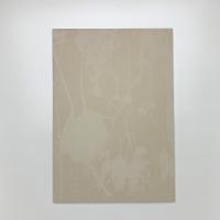 大森澪銅版画集　ミィレフィオーリ 千々の花